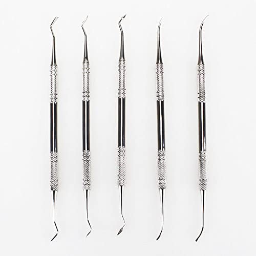 New 5pcs Assorted Dental Lab Stainless Steel Kit Plaster Carving Tool Spatula