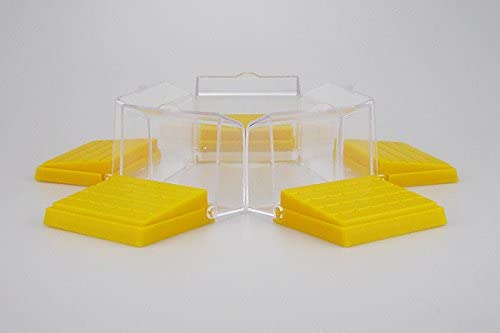 10pcs New Plastic High Speed Burs Holder Block Case 24 Holes