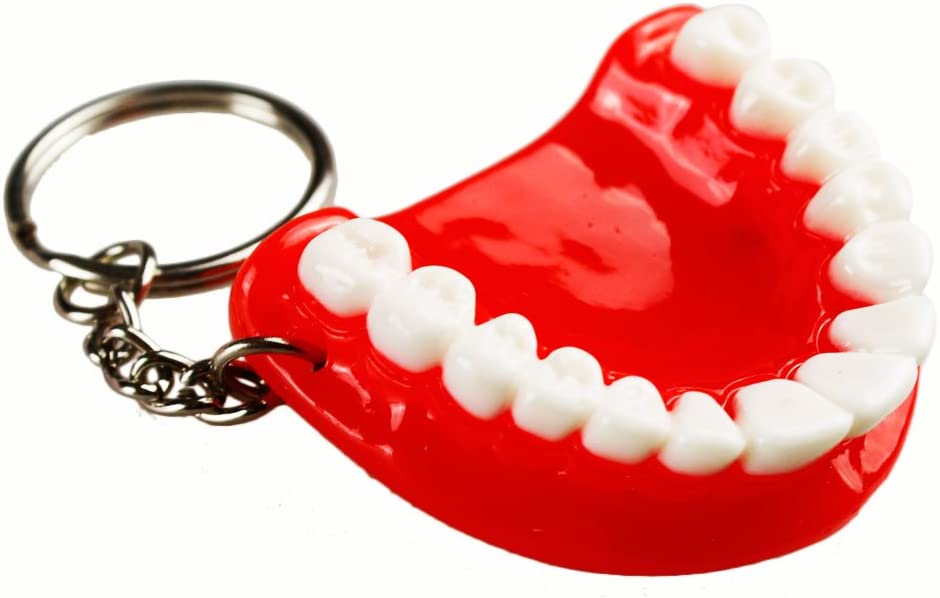 5pcs Teeth Key Chain Ring for Cell Phone Dentist Dental Clininc Gift Jaw Mixed (5 Color)