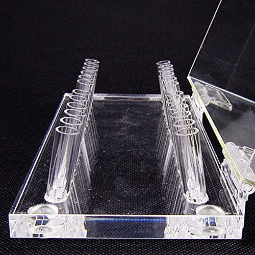Dental Acrylic Organizer Holder Case for Orthodontic Preformed Wire