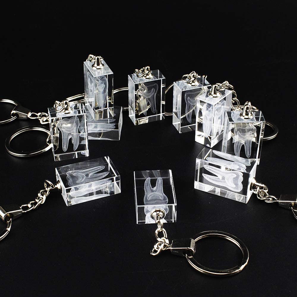 Airgoesin 12pcs Keychain Key Ring Hang Crystal Tooth Shape Cute Promo Dental Clinic Gift Rewards Prizes