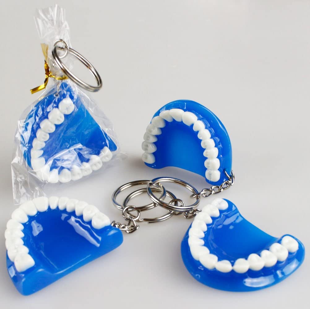 5pcs Teeth Key Chain Ring for Cell Phone Dentist Dental Clininc Gift Jaw Mixed (5 Color)