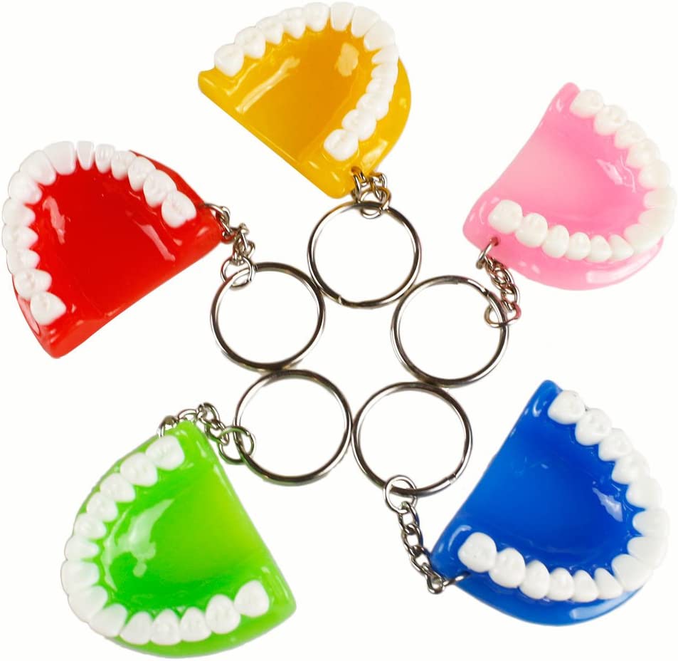 5pcs Teeth Key Chain Ring for Cell Phone Dentist Dental Clininc Gift Jaw Mixed (5 Color)
