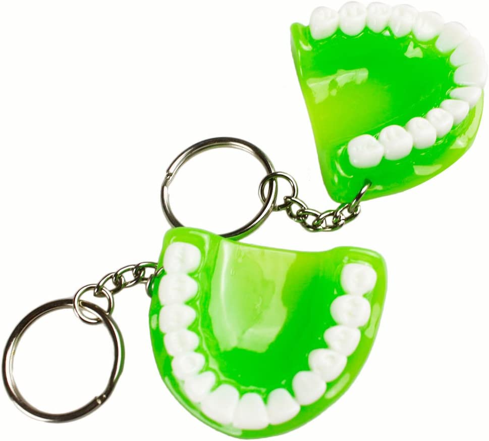 5pcs Teeth Key Chain Ring for Cell Phone Dentist Dental Clininc Gift Jaw Mixed (5 Color)