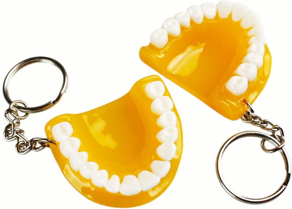 5pcs Teeth Key Chain Ring for Cell Phone Dentist Dental Clininc Gift Jaw Mixed (5 Color)