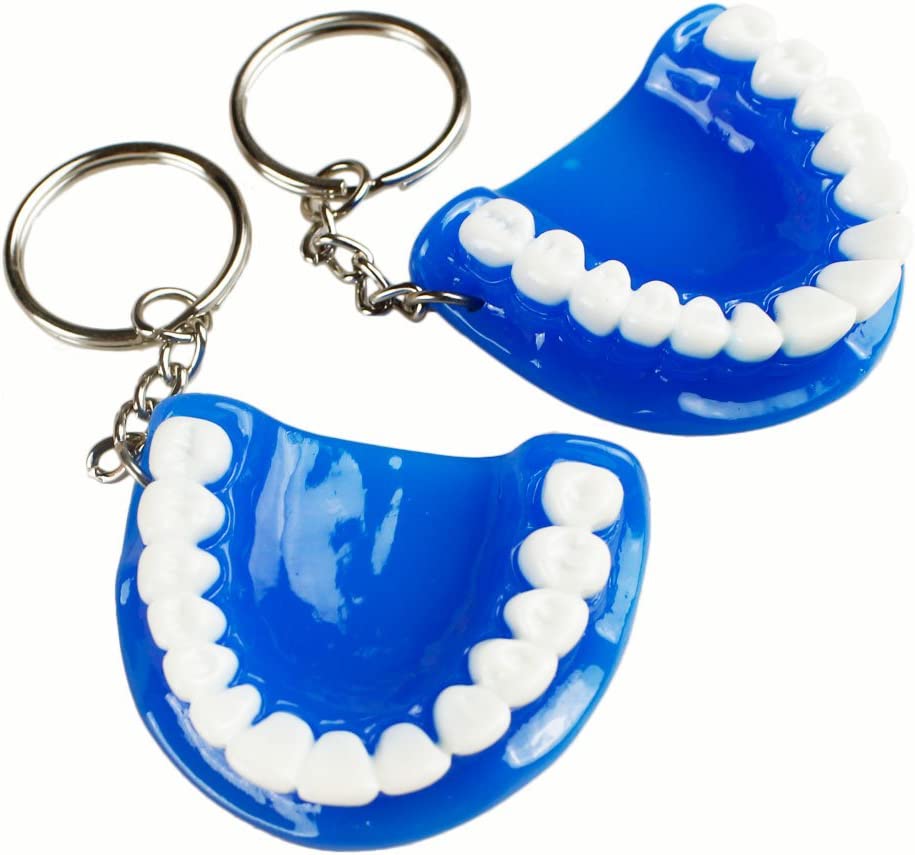 5pcs Teeth Key Chain Ring for Cell Phone Dentist Dental Clininc Gift Jaw Mixed (5 Color)
