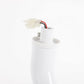 Dental Oral LED Light Infrared Sensor Light, Dental LED Oral Exam Light-8W Super Bright, Shadowless, Cool Light