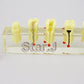 Dental Dentist Endo Endodontic Demonstration Root Treatment Model