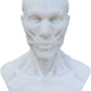 Human Model Craft Anatomy Skull Head Muscle Bone Medical Artist Drawing Study (Blue)