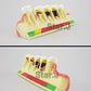 Dental Periodontal Disease assort Tooth Teeth Typodont Study Teaching Model New
