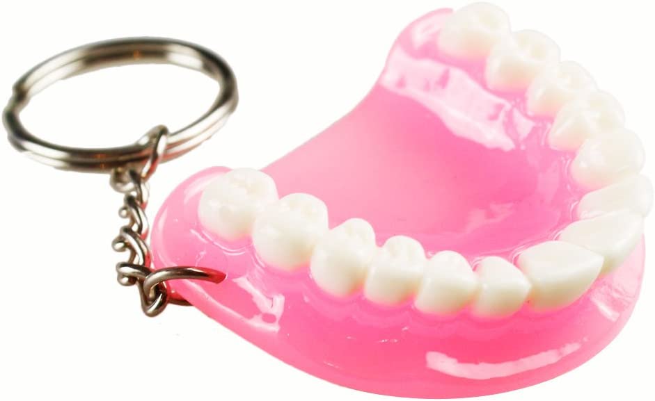 5pcs Teeth Key Chain Ring for Cell Phone Dentist Dental Clininc Gift Jaw Mixed (5 Color)