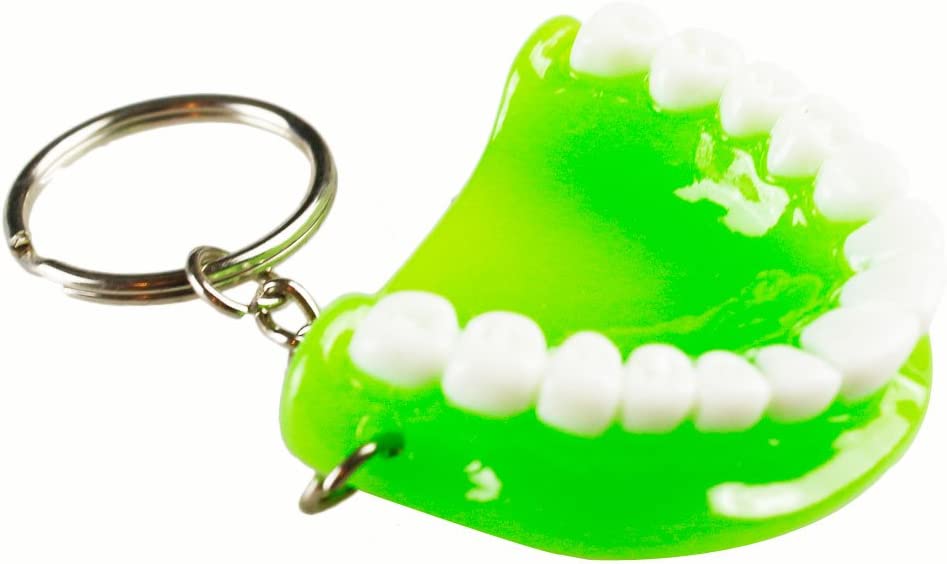 5pcs Teeth Key Chain Ring for Cell Phone Dentist Dental Clininc Gift Jaw Mixed (5 Color)