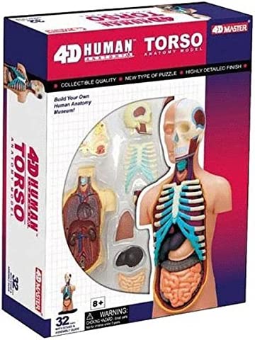 4D Puzzle Body Torso 32pcs Human Anatomy 3D Study Model Tool Toy New