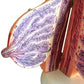 Airgoesin Suckling Period Breast Model Organ Dissection Medical Human Anatomical Teaching