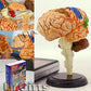 4D Puzzle Brain Human Anatomy Study Series 3D Model New
