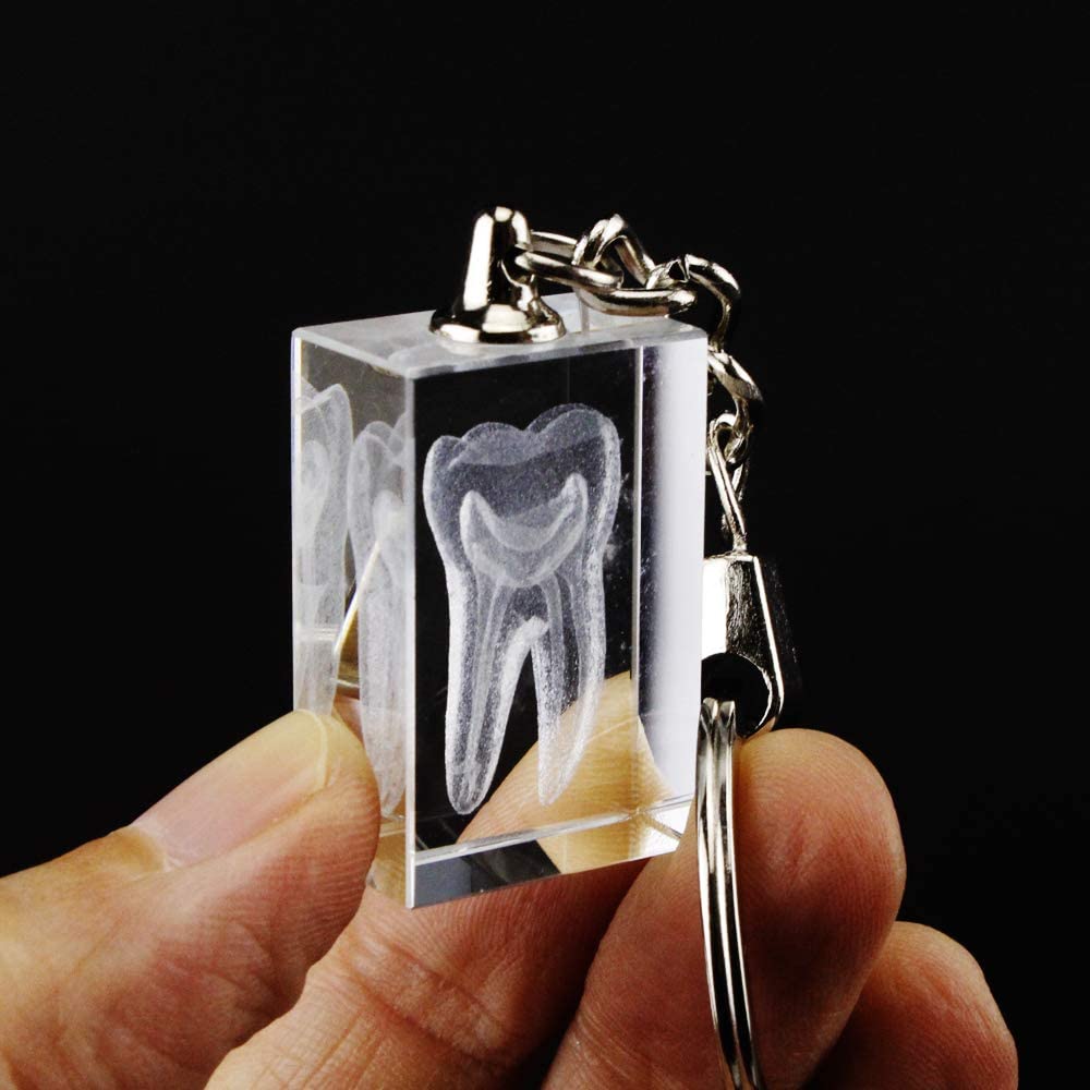 airgoesin 20pcs Keychain Key Ring Hang Crystal Tooth Shape Cute Promo Dental Clinic School Gift Rewards Prizes