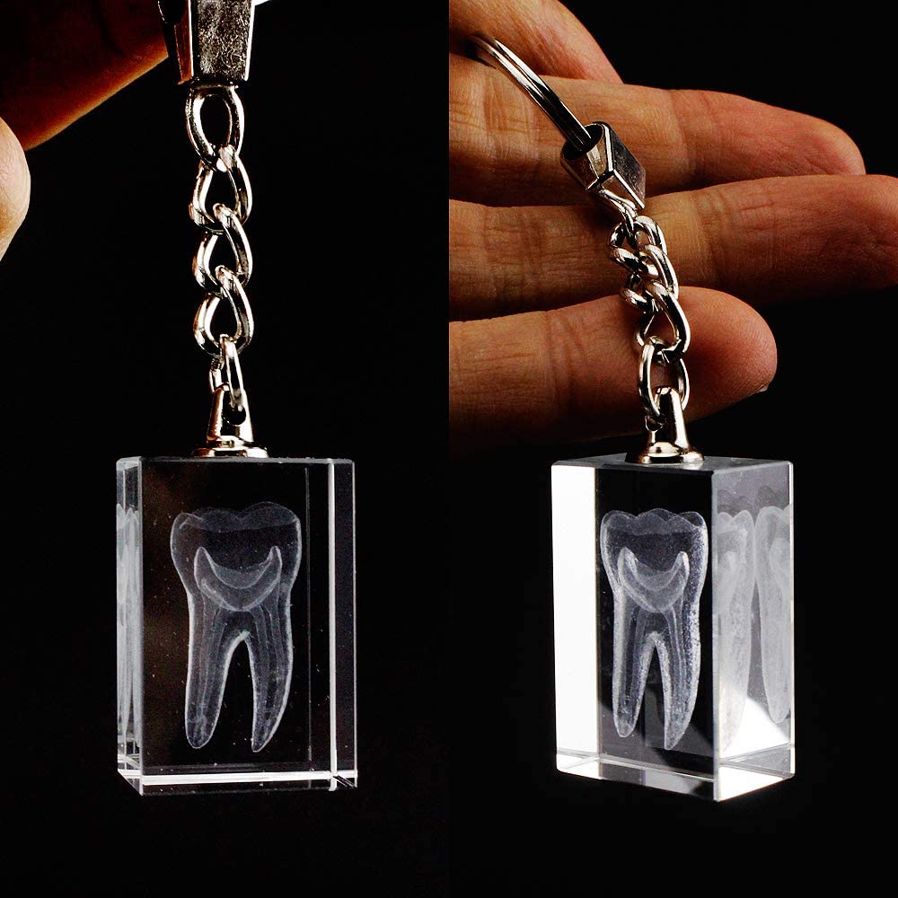 airgoesin 20pcs Keychain Key Ring Hang Crystal Tooth Shape Cute Promo Dental Clinic School Gift Rewards Prizes