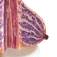 Airgoesin Suckling Period Breast Model Organ Dissection Medical Human Anatomical Teaching