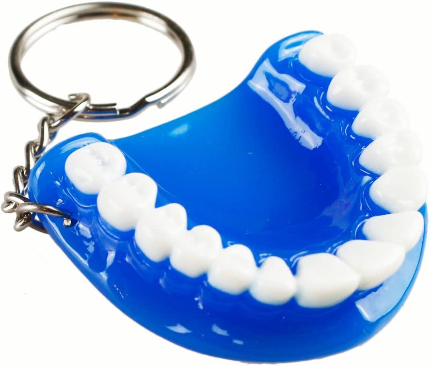 5pcs Teeth Key Chain Ring for Cell Phone Dentist Dental Clininc Gift Jaw Mixed (5 Color)