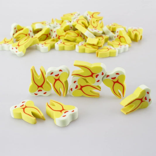 Airgoesin 50pcs Molar Shaped Tooth Rubber Erasers Dental Clinic Kid Stationery Gift