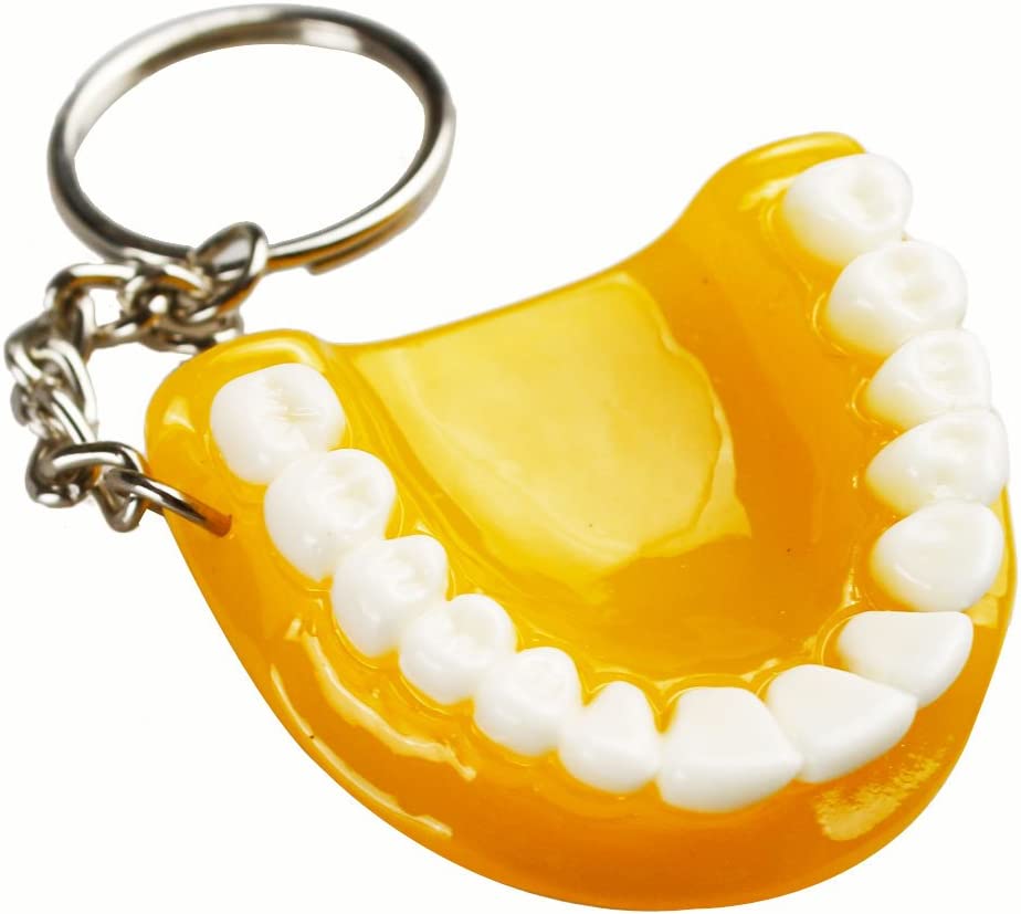 5pcs Teeth Key Chain Ring for Cell Phone Dentist Dental Clininc Gift Jaw Mixed (5 Color)