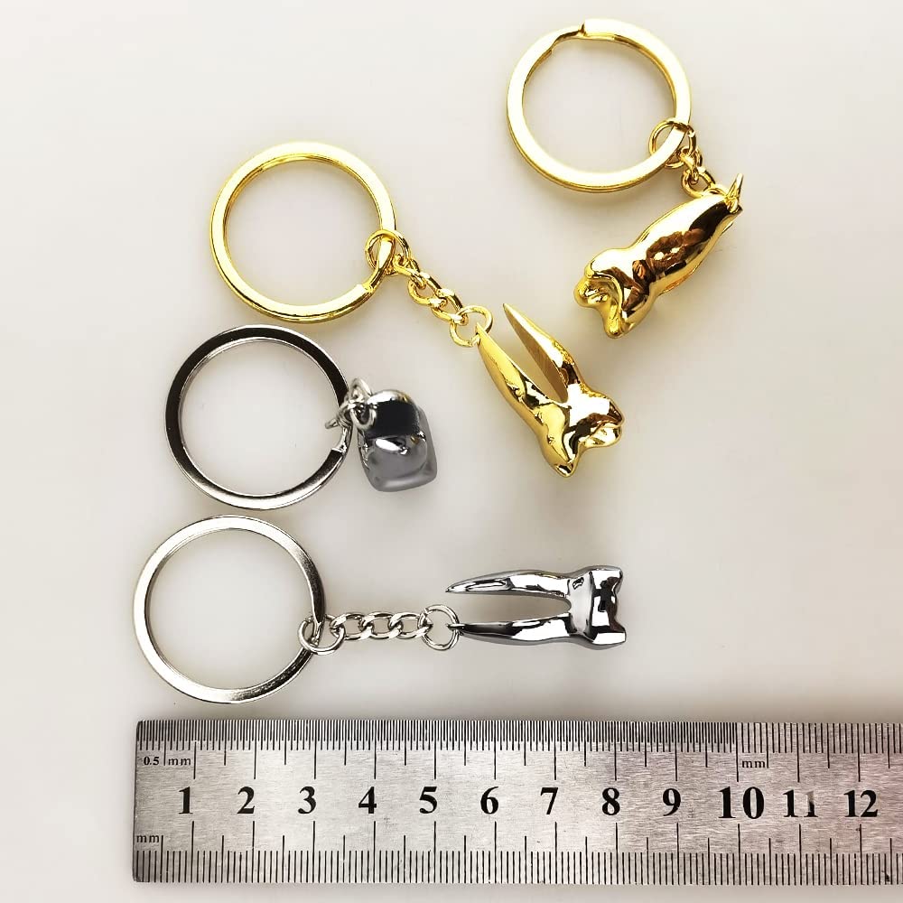 Airgoesin 4pcs Keychains Dental Molar Tooth Shaped Key Ring Dentist Dental Gift